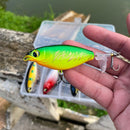 Isca Artificial Flutuante com Hélice: Mestre dos Lançamentos!  🎣🔥 5 Unidades - Sucesso Garantido na Sua Pesca!